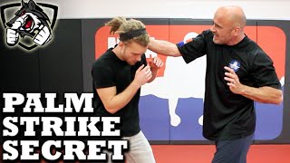 Bas Ruttens Palm Strike KO Secret Technique Bone Strikes [upl. by Martinez]