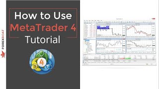 How to Use MetaTrader 4  Forex Basics Tutorial [upl. by Pulling]