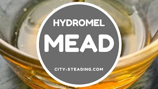 How to Make Mead  Hydromel Mead [upl. by Amein350]