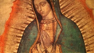 The Story of Our Lady of Guadalupe [upl. by Imac211]