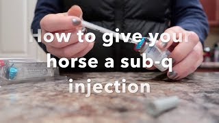 Sheep Subcutaneous Injection technique [upl. by Leandre910]