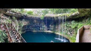 Cenote Swimming Cenote Saamal Yucatan Mexico [upl. by Thury]