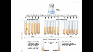 Microbiological Examination of Water MPN [upl. by Anahahs500]