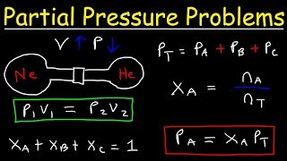 Daltons Law of Partial Pressure Problems Mole Fraction Chemistry Gas Laws [upl. by Greenwell]