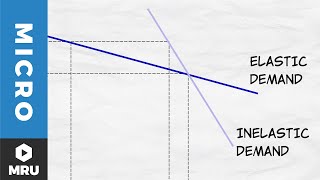 Elasticity of Demand [upl. by Agrippina884]