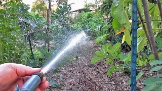 Foliar Spray Plant Fertilization  How When amp Why [upl. by Ahsehyt]