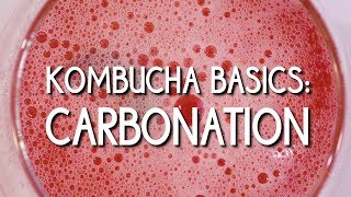 Kombucha Basics Carbonation [upl. by Eicyac231]