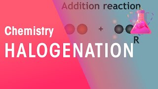 Halogenation  Organic Chemistry  Chemistry  FuseSchool [upl. by Olen]