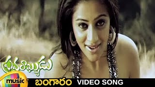 Pravarakyudu Telugu Movie Songs  Bangaram Video Song  Jagapathi Babu  Priyamani  Mango Music [upl. by Pembrook776]