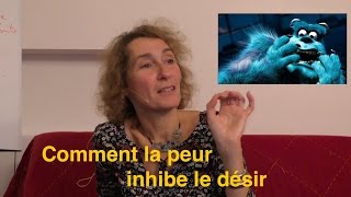 Comment la peur inhibe le désir [upl. by Eelrac176]