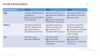 Bugs Priority And Severity [upl. by Euqenimod]