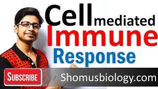 Cell mediated immunity  innate immune response [upl. by Kessler]