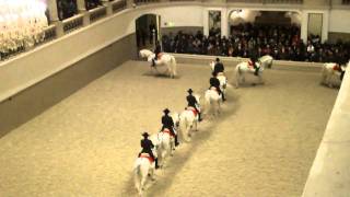 Spanish Riding School  Vienna HD [upl. by Sommer579]