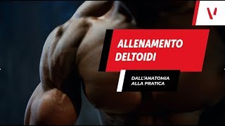 Allenamento deltoidi dallanatomia alla pratica [upl. by Boeke]