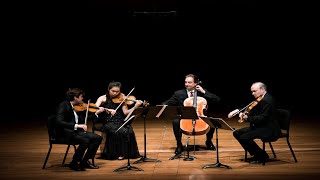 What is chamber music 30second explainer on classical music  In Concert with CMS [upl. by Tarsuss699]