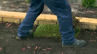 How To Lay Instant Turf  DIY At Bunnings [upl. by Zarihs]