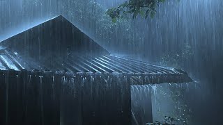 Overcome Stress to Sleep Instantly with Heavy Rain amp Paramount Thunder Sounds on a Tin Roof at Night [upl. by Girvin]