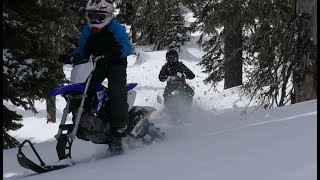 110cc Bikes in the Snow  Timbersled [upl. by Thissa445]