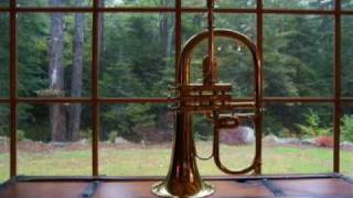 Music for Flugelhorn [upl. by Ynatsed]