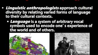 Introduction to Anthropology [upl. by Odab]