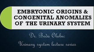 DEVELOPMENT amp CONGENITAL ANOMALIES OF THE URINARY SYSTEM [upl. by Abert]