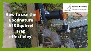 Goodnature A18 Squirrel Trap [upl. by Lua]