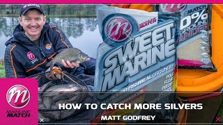 Mainline Match Fishing TV  How To Catch Silvers [upl. by Premer]