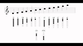 Tin whistle  Notes and fingering charts [upl. by Lamek]