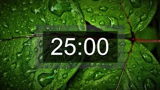 Countdown timer 25 minutes with relaxing music for concentration [upl. by Lizzy683]