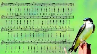 Swallowtail Jig  Tin Whistle Tabs  Play Along Tutorial [upl. by Eciralc]