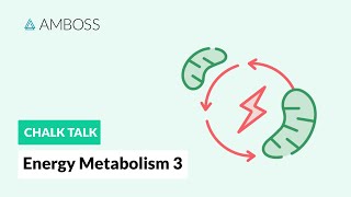 Energy Metabolism  Part 3 Regulation of Glycolysis [upl. by Eimmot175]