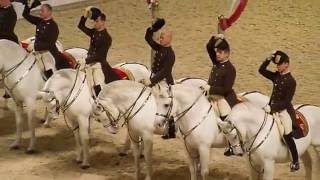 The Spanish Riding School of Vienna 08 [upl. by Aidiruy]