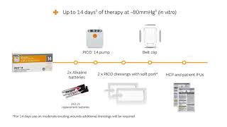 Introducing PICO 14 sNPWT [upl. by Nations]