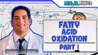 Metabolism  Fatty Acid Oxidation Part 1 [upl. by Leslee]