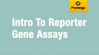 Introduction to Reporter Gene Assays [upl. by Esaertal522]