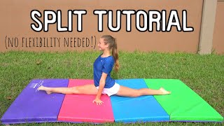 How to Do a Split for BEGINNERS [upl. by Barstow]