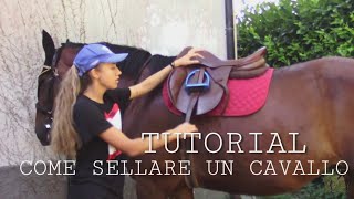 TUTORIAL COME SELLARE UN CAVALLO  Sara Aventino [upl. by Penman]