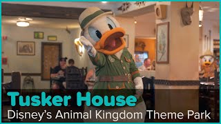 Tusker House Character Dining Reopens at Disney’s Animal Kingdom [upl. by Hsaka]