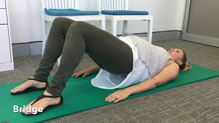 Chiropractic Exercises For Pubic Symphysis Dysfunction [upl. by Yziar128]