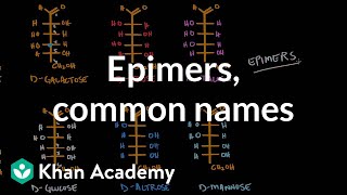 Carbohydrates  Epimers common names  Chemical processes  MCAT  Khan Academy [upl. by Fineberg112]