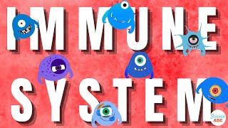 Immune System Innate and Adaptive Immunity Explained [upl. by Brandt]