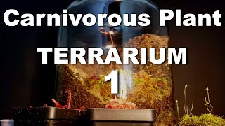 Growing Carnivorous Plants E1 Building a Terrarium [upl. by Atisor]