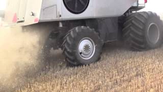 Gleaner S77 harvesting wheat [upl. by Tlevesoor]