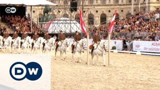 450 Jahre Spanische Hofreitschule  Euromaxx [upl. by Twum]