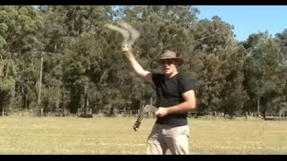 how to throw a boomerang easy to follow step by step [upl. by Attenweiler]