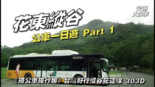 五個小時半帶你簡單玩花東縱谷！豐之谷自然生態公園、林田山林業園區、立川漁場｜深入中央山脈東側欣賞美景｜花東縱谷公車半日遊 Part 1｜《精選路線特輯 花蓮縣公車303D 台灣好行縱谷花蓮線》 [upl. by Gardy]