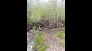 Water Canyon Free Developed BLM Campground and Recreation Area Winnemucca Nevada [upl. by Clerc]