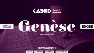 « Genèse »  LAncien Testament  La Sainte Bible audio VF Complète [upl. by Chapland967]