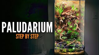 How to build a Paludarium Vivarium [upl. by Gurl]