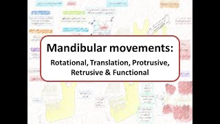 Mandibular movements Rotational Translational Protrusive Retrusive amp Functional [upl. by Noella]